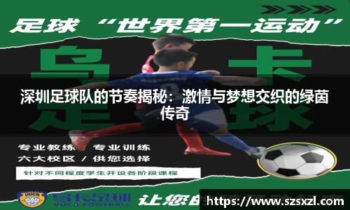 深圳足球队的节奏揭秘：激情与梦想交织的绿茵传奇