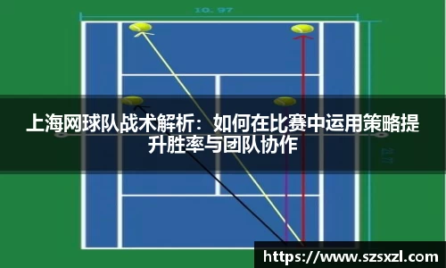 bsports官网登录入口