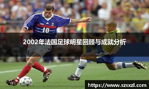 2002年法国足球明星回顾与成就分析